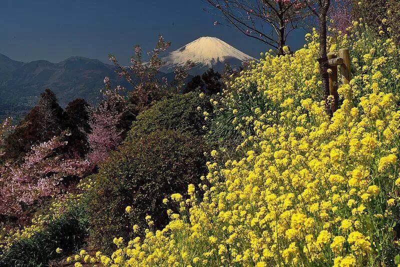 Hakone Pacific Hotel Buitenkant foto